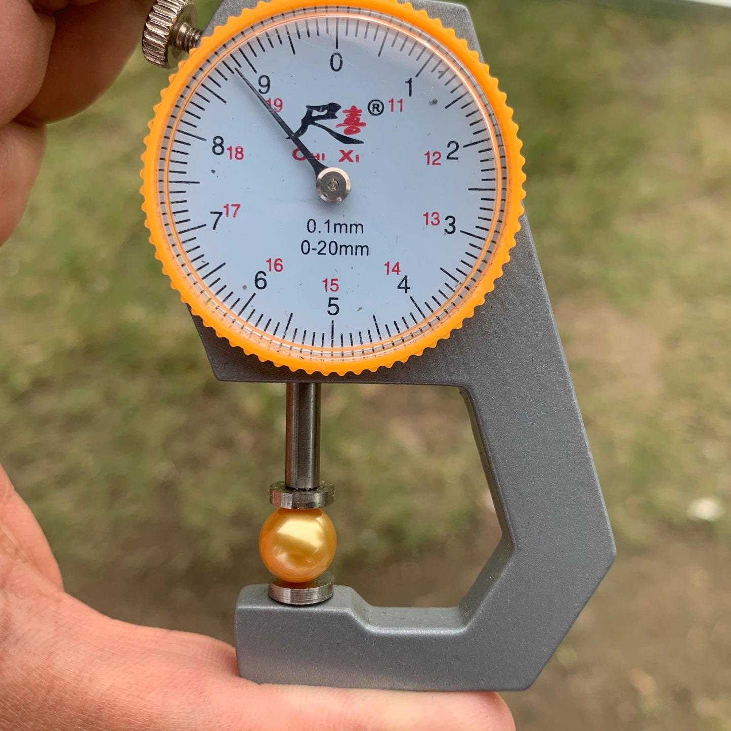 Loose High Grade Golden South Sea Pearl High Grade Loose Seawater Saltwater Pearl Small-1