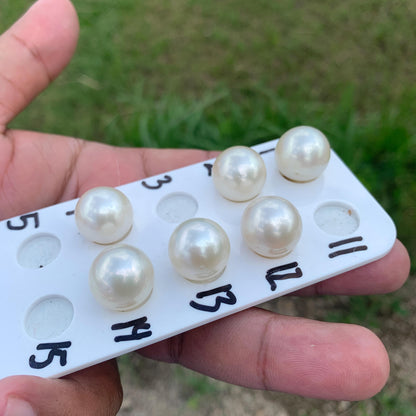 15.1-15.8mm Loose Indonesia White Sea Pearl White South Sea Pearl BoZorX HB-R