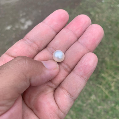 Loose White South Sea Pearl Beads Sea Pearl Beads High Grade Loose Saltwater Pearl Bead