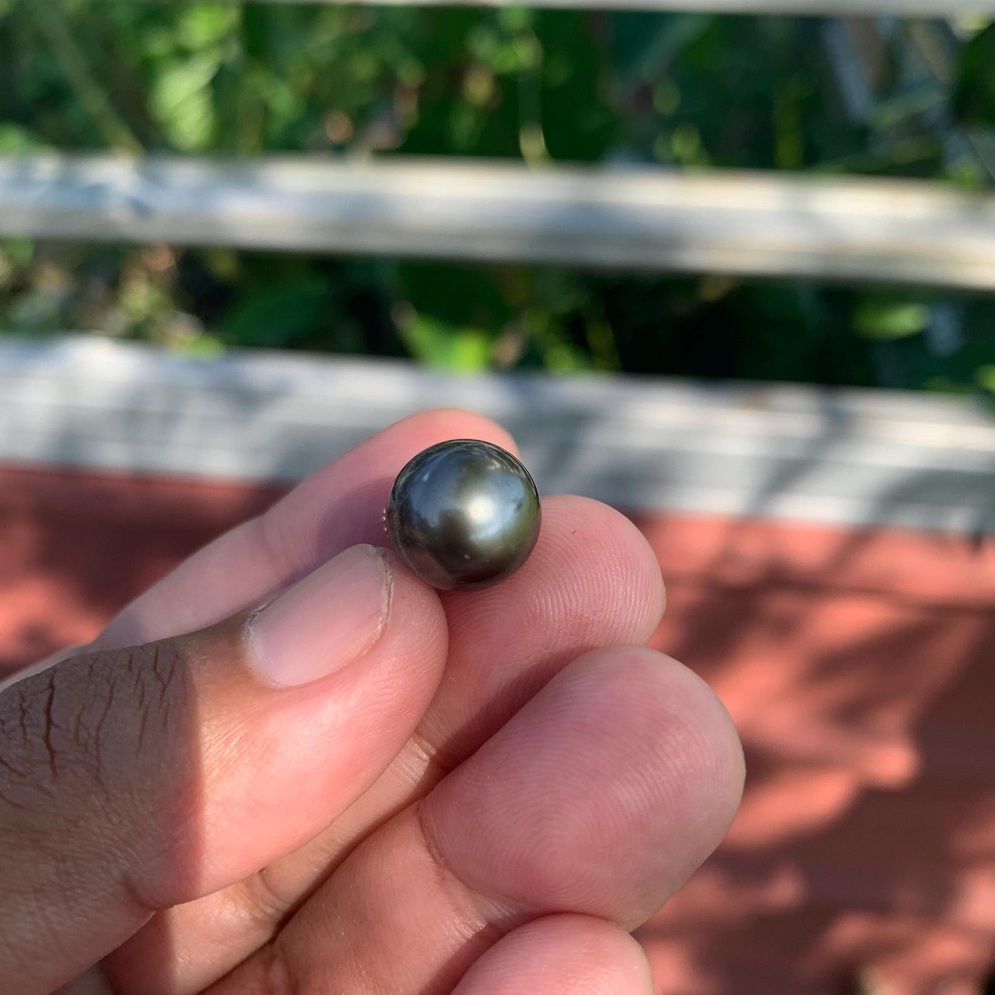 Real South Sea Pearl Pendant 12mm Saltwater Pearl JN-2