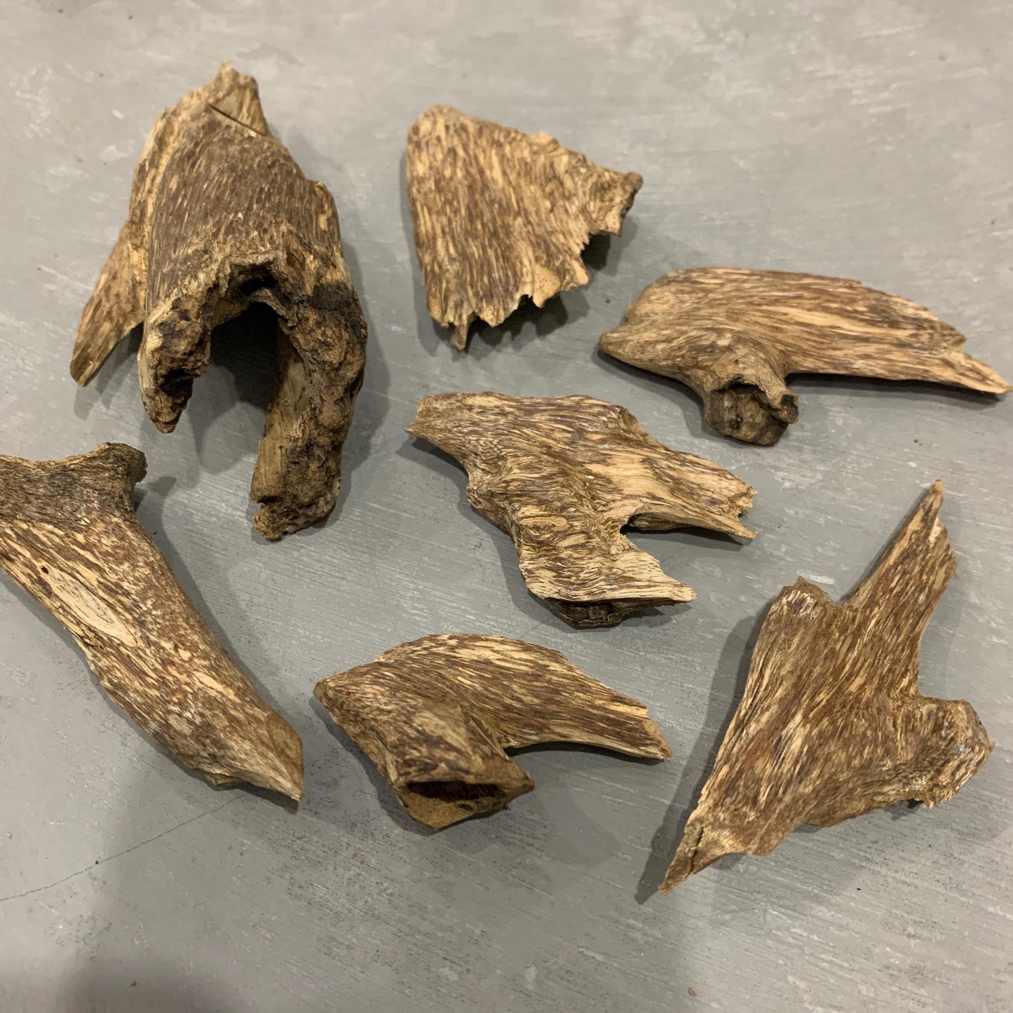 Agarwood Chips Chénxiāng Oud Incense Oudh Xiāng Kyara Kynam Aloeswood Kinam qí nán Jinkoh Englewood Grams  Solid Wood