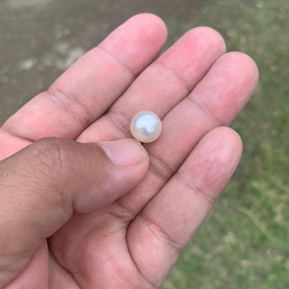 Loose White South Sea Pearl Beads Sea Pearl Beads High Grade Loose Saltwater Pearl Bead