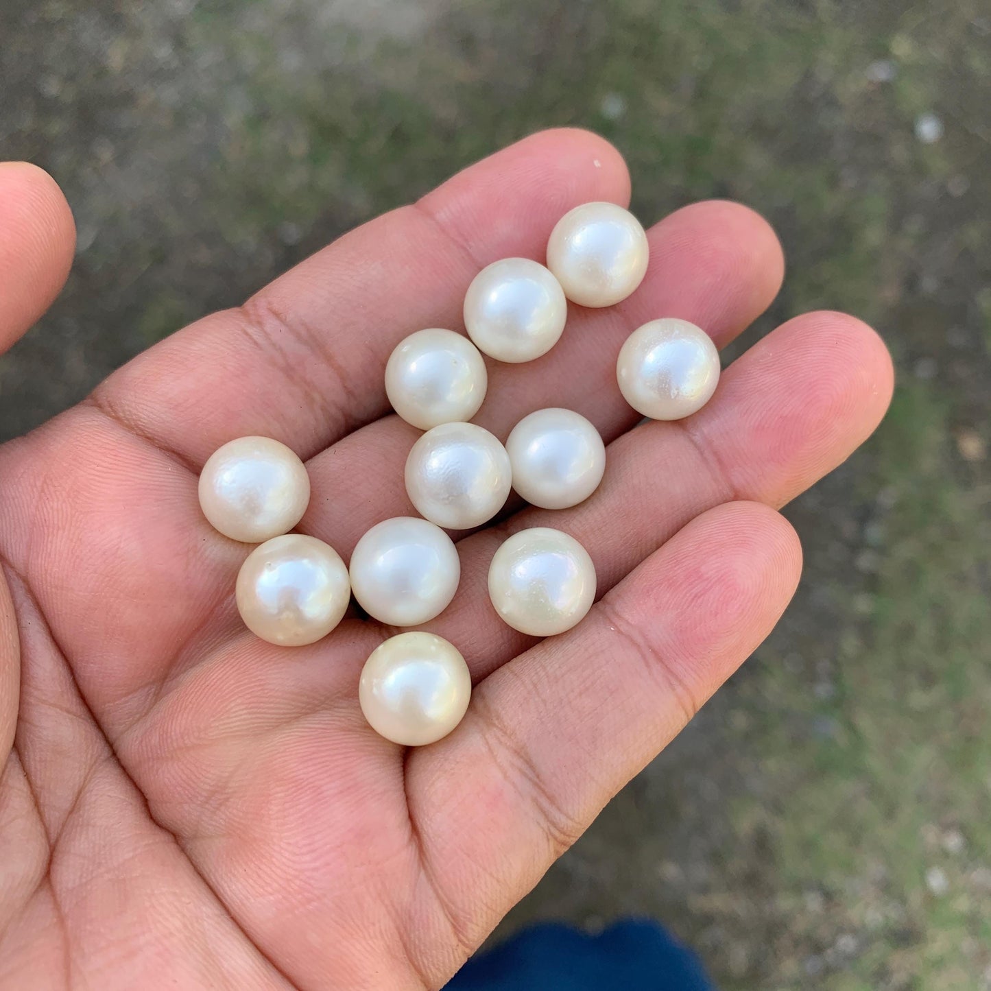 11 Pieces 11.5-11.69mm Indonesia Loose South Sea Pearl Seawater Pearl Beads Special edition Pearl BoZorX GR-26