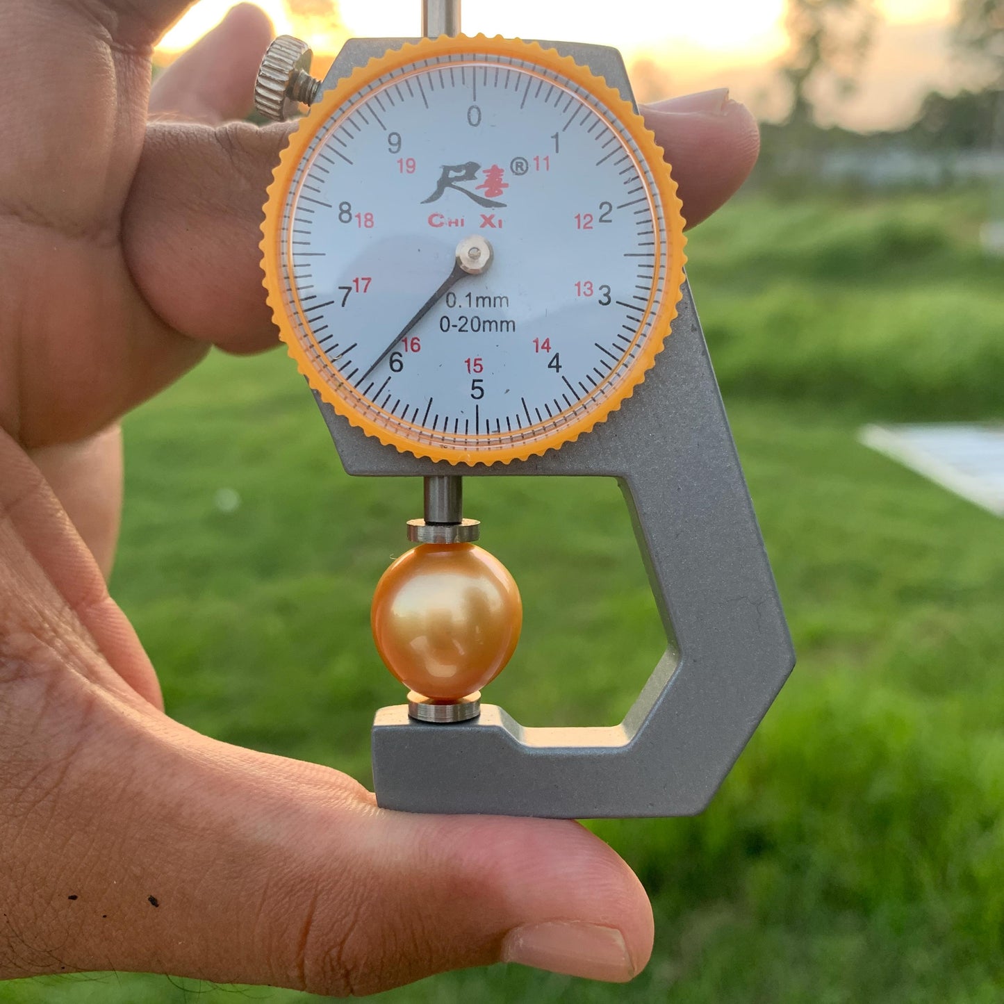 16.2x15.4mm Large Golden South Sea Pearl Undrilled Seawater Pearl PP-2