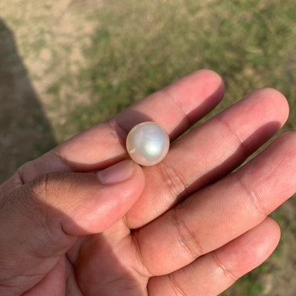 White South Sea Pearl Loose Indonesia Pearl (15.2x14.7mm) BoZorX FR-3