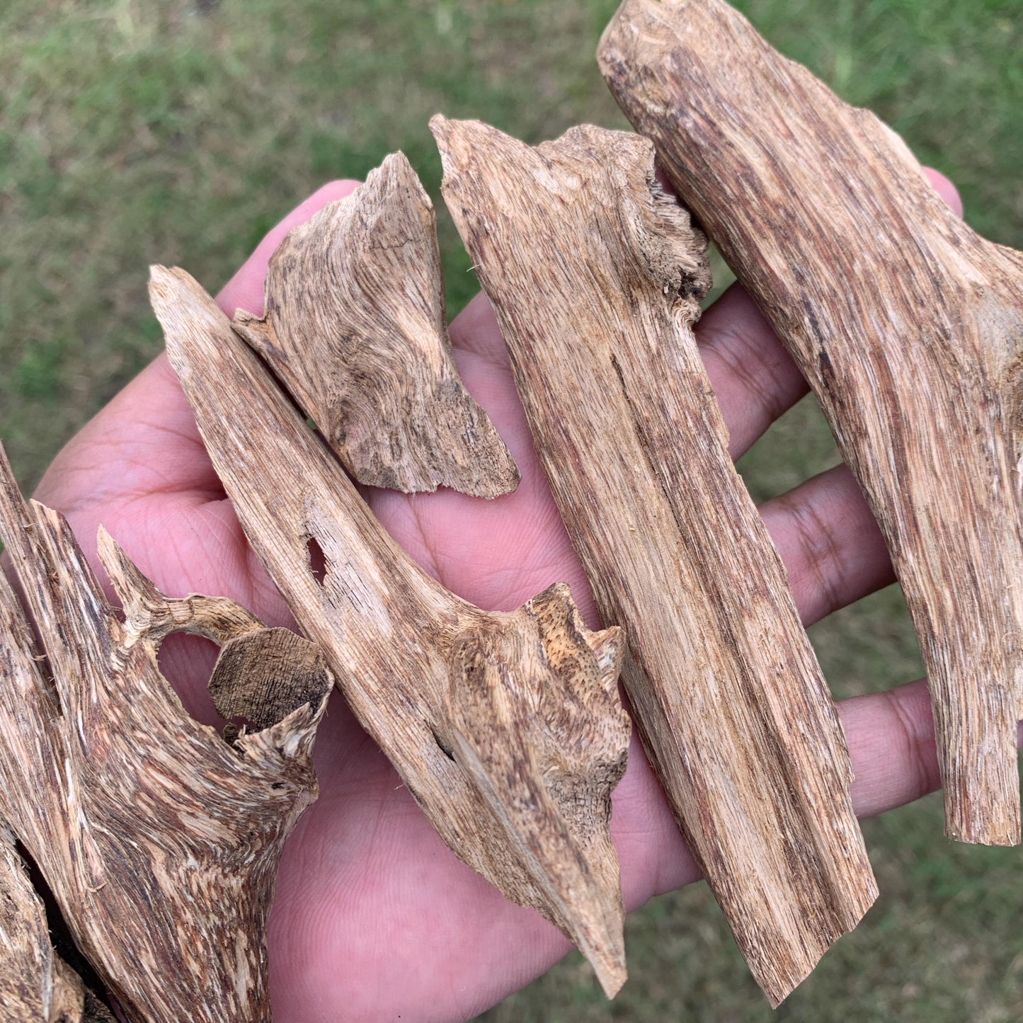 50克 沉香 奇楠 沈香 العود 50 Grams Agarwood Oud C9