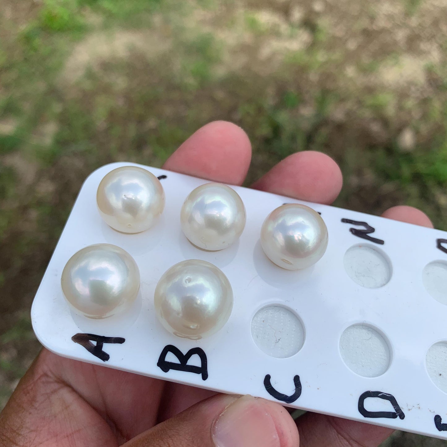 15.4-16.2mm Real south sea pearl saltwater pearl seawater pearl Pendant BoZorX HB-S