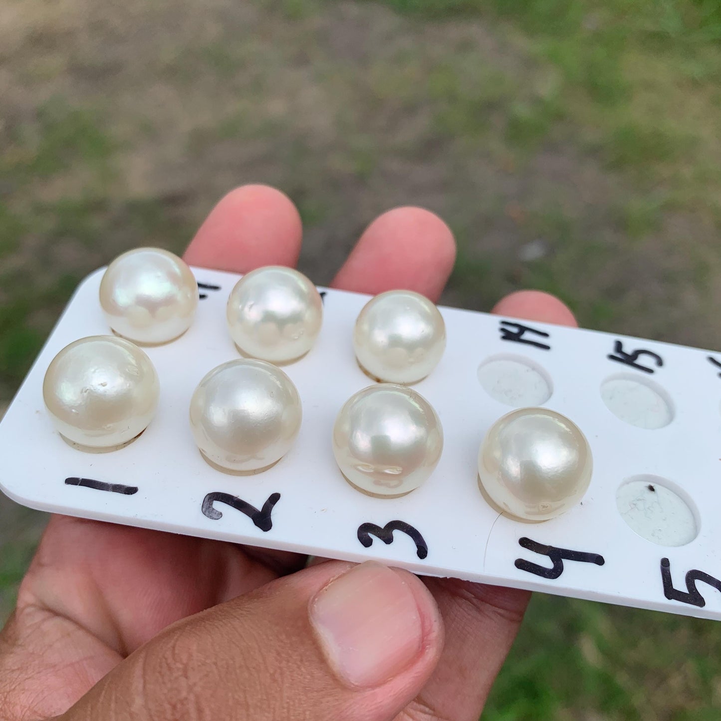 Large South Sea Pearl Beads: Genuine Indonesian Loose Pearls (14.4-14.9mm) HB-R3