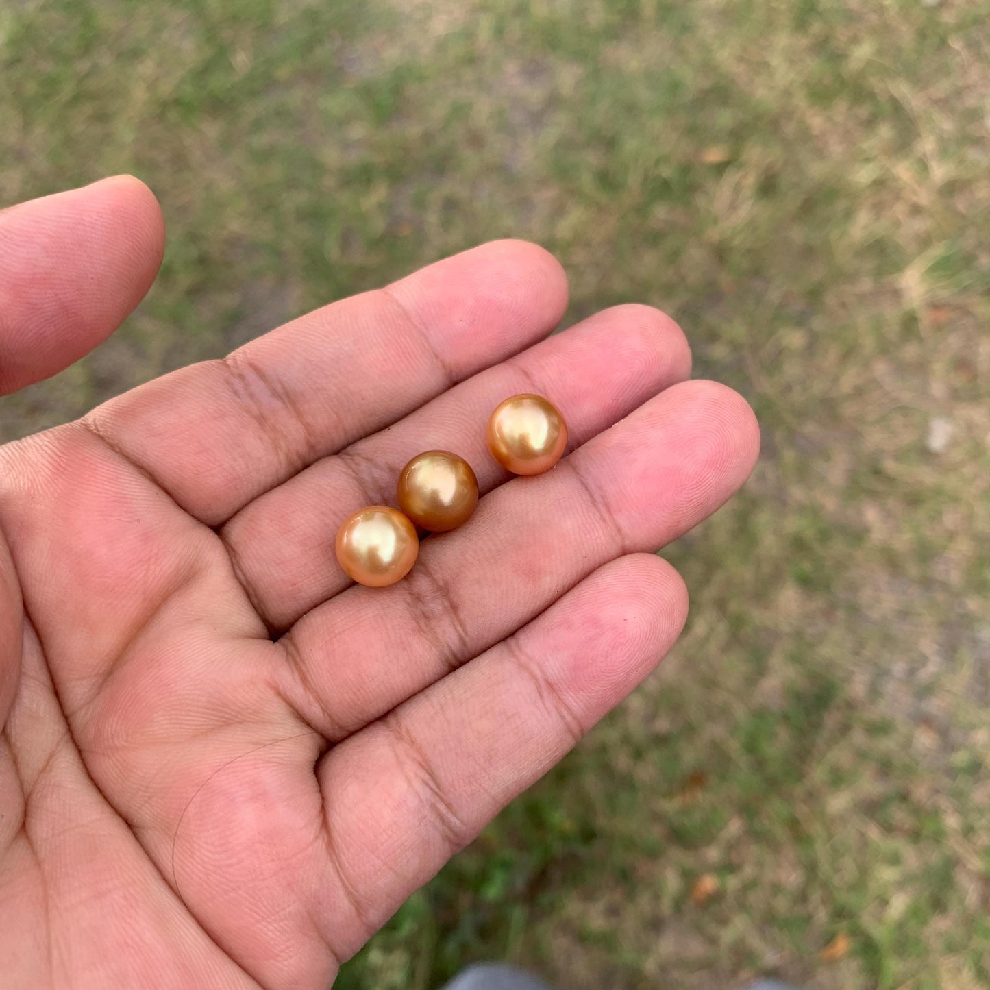 3 Pcs 10mm Golden South Sea Pearls High Grade Loose Gem  PP3-7