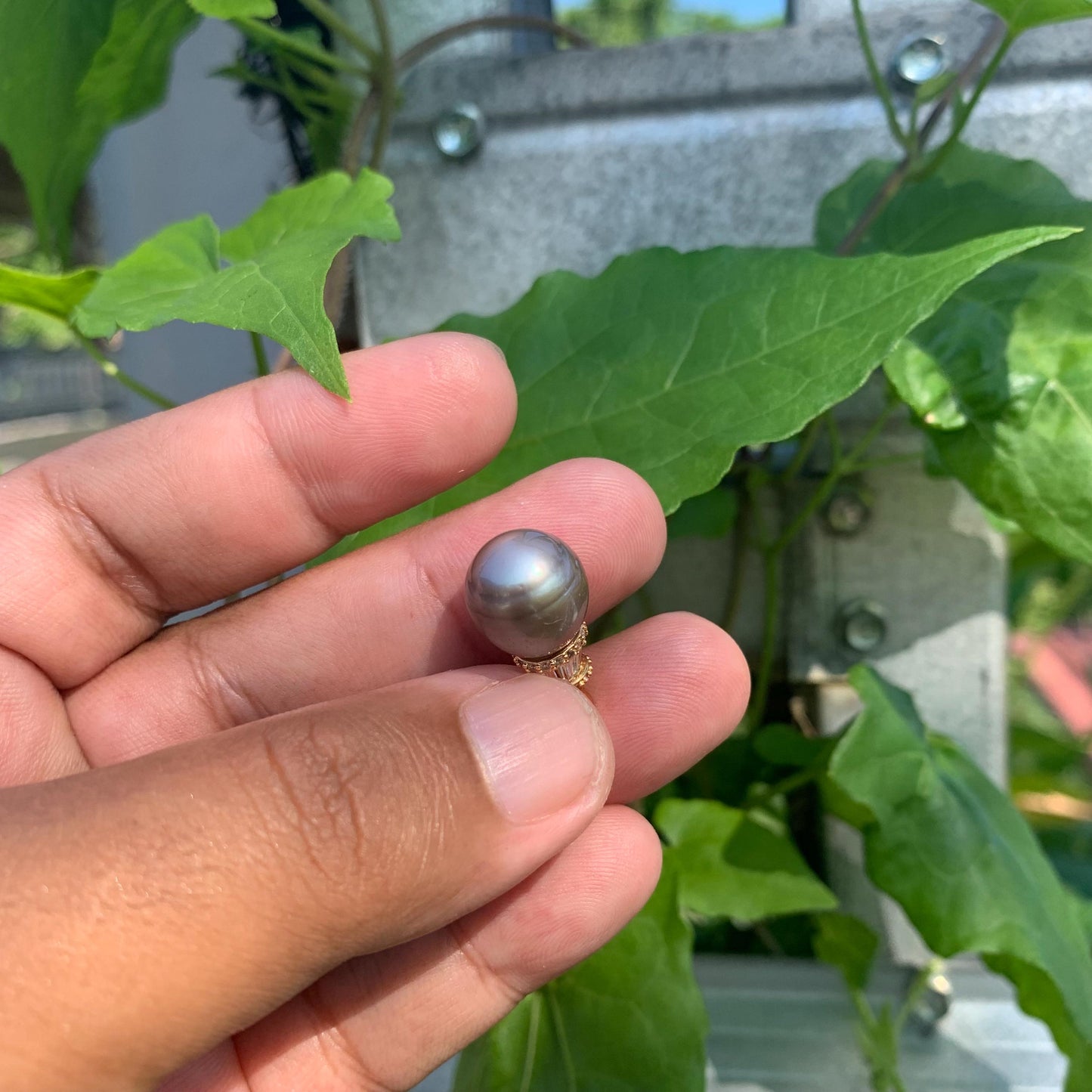 Real Tahitian Pearl Pendant 12mm Saltwater Pearl JN-3