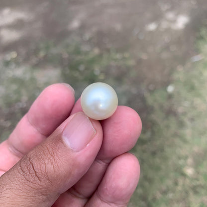 14.5mm Loose White South Sea Pearl Beads Sea Pearl Beads High Grade Loose Saltwater Pearl Bead